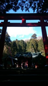 箱根神社鳥居